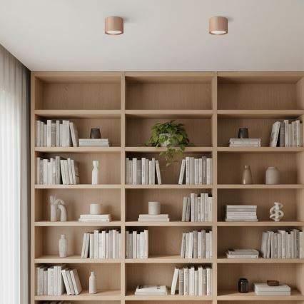 Брілагі - точковий світильник СТРИПИ 1xGX53/15W/230V бежевий