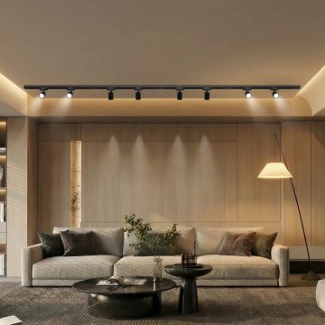 Брілагі - Точковий світильник у трековій системі ХАСКІ 8×ГУ10/10Вт/230В чорний