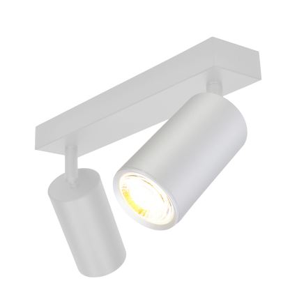 Brilagi - Точковий світильник для ванної кімнати SELE 2xGU10/30W/230V IP44 срібний