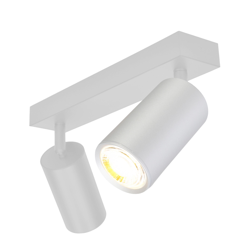 Brilagi - Точковий світильник для ванної кімнати SELE 2xGU10/30W/230V IP44 срібний