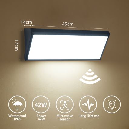 Brilagi - LED уличный настенный светильник с датчиком TRIANGLE LED/42W/230V черный IP65
