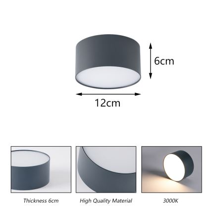 BRILAGI - светодиодный уличный потолочный светильник FORIS LED/14W/230V, диаметр 12 см, антрацит, IP44