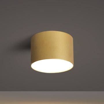 BRILAGI - Уличный потолочный светильник FORIS LED/9W/230V Ø 9 см золотой IP44