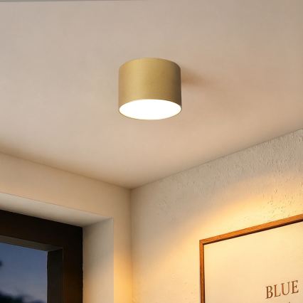 BRILAGI - Уличный потолочный светильник FORIS LED/9W/230V Ø 9 см золотой IP44