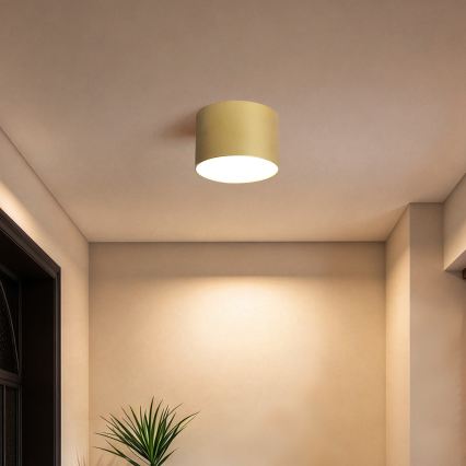 BRILAGI - Уличный потолочный светильник FORIS LED/9W/230V Ø 9 см золотой IP44