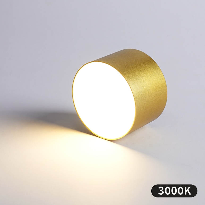 BRILAGI - Уличный потолочный светильник FORIS LED/9W/230V Ø 9 см золотой IP44