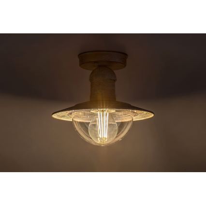 Brilagi - Уличный потолочный светильник MOLDE 1xE27/60W IP44 белый/патина