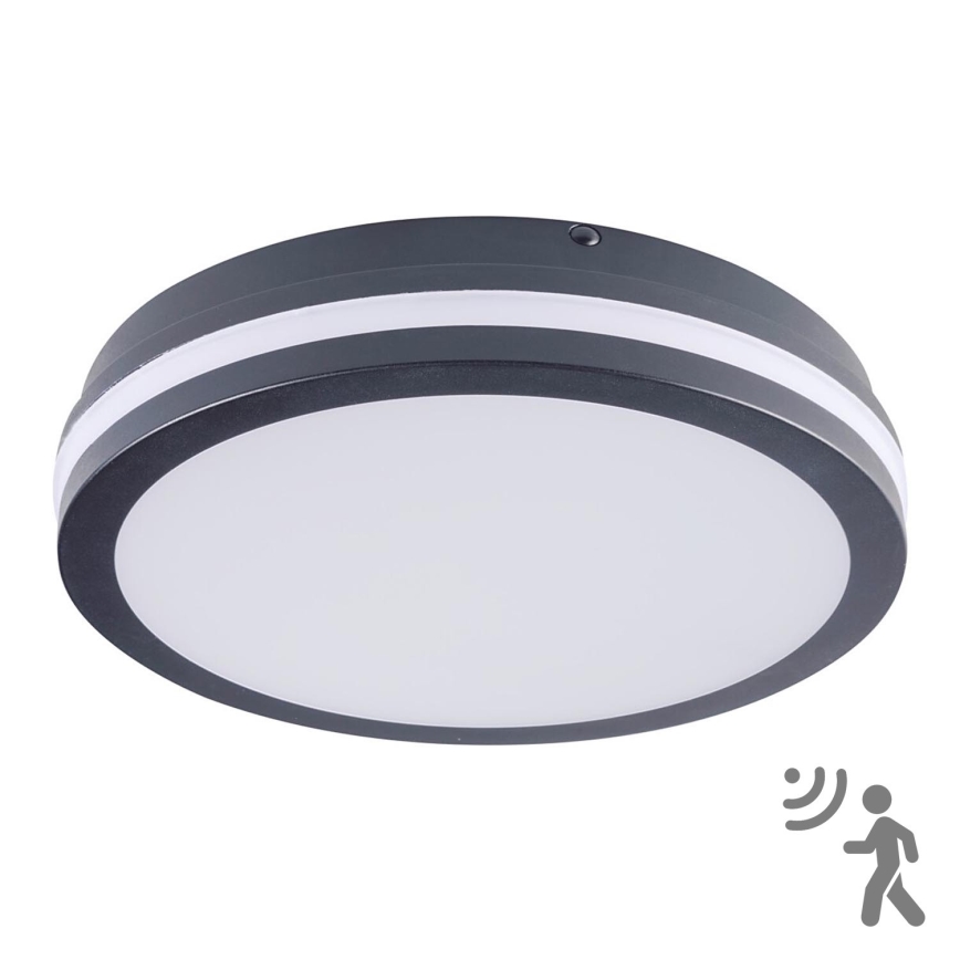 Brilagi - наружный LED-светильник с датчиком BENE LED/24W/230V, диаметр 26 см, антрацит, IP54