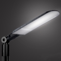 Brilagi - Уличный светильник URBANLIGHT LED/250W/230V черный IP65