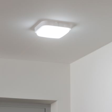 Brilagi - Уличный светодиодный настенный светильник LED/20W/230V IP54