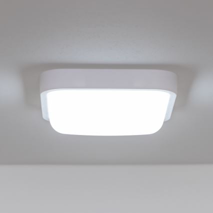 Brilagi - Уличный светодиодный настенный светильник LED/20W/230V IP54