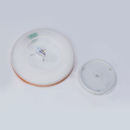 Brilagi - ультратонкий светодиодный потолочный светильник для ванной ULTRA SLIM, 18 Вт, 230 В, Ø 30 см, розовое золото, IP54