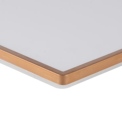 Brilagi - Ультратонкий потолочный светильник для ванной, LED/18W/230V, 30x30 cm, розовое золото, IP54