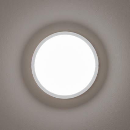 Brilagi - Вуличний світлодіодний стельовий світильник LED/13W/230V діаметр 17 см IP54