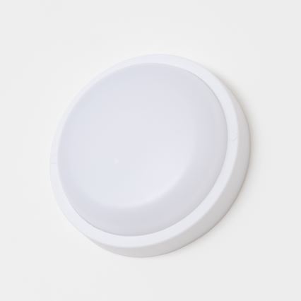 Brilagi - Вуличний світлодіодний стельовий світильник LED/13W/230V діаметр 17 см IP54