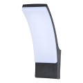 Brilagi - Вуличний світлодіодний настінний світильник ARCELO LED/9W/230V IP44