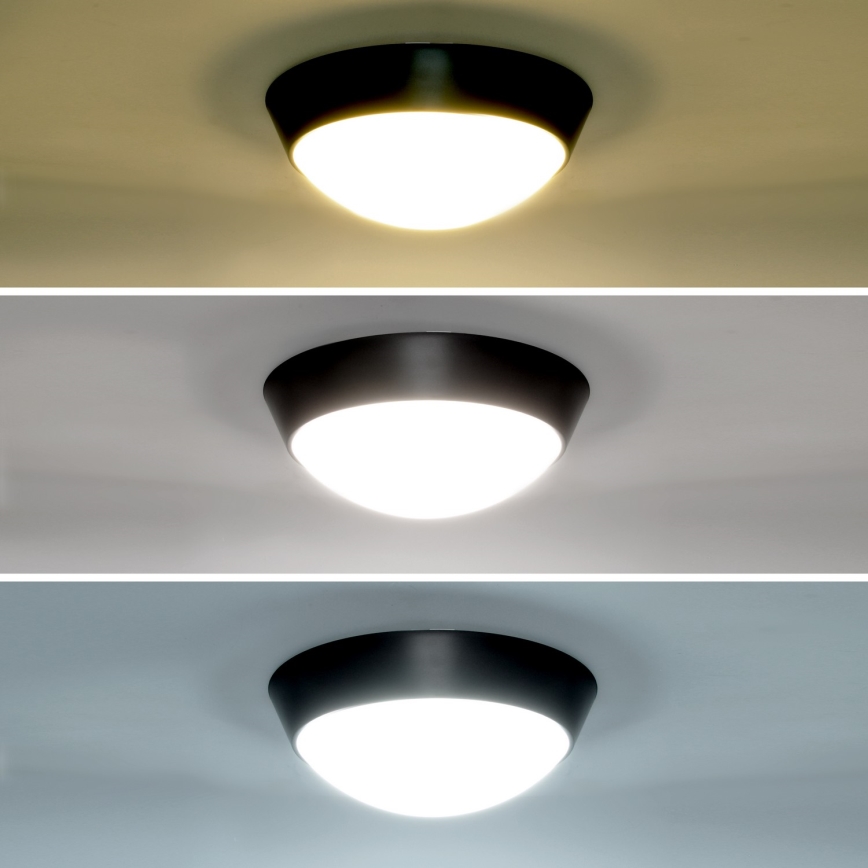 Brilagi - Вуличний світлодіодний настінний світильник 2в1 BULKHEAD LED/20W/230V 3000/4000/6000K IP65