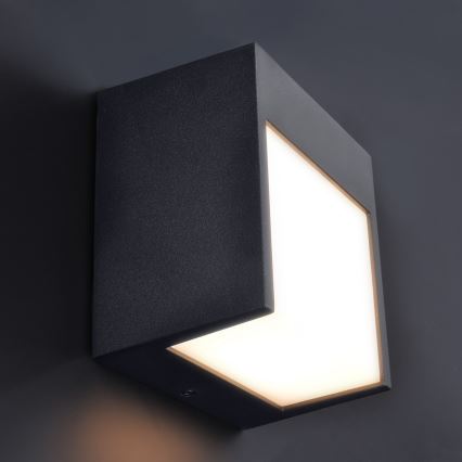Brilagi - Вуличний світлодіодний настінний світильник TERNI LED/12W/230V чорний IP44