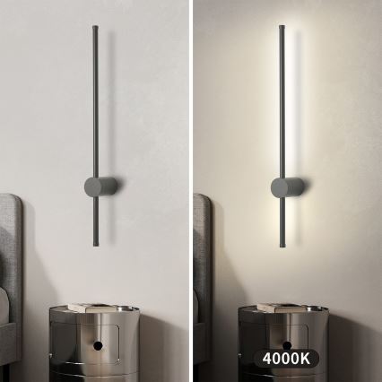 Brilagi - зовнішній настінний світильник AURA LED/12W/230V 4000K IP54 65 cm антрацит