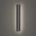 Brilagi - зовнішній настінний світильник LINEAR LED, 12 Вт, 230 В, 4000 К, IP65, 50 см, антрацит