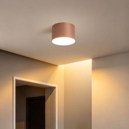 BRILAGI - Зовнішній стельовий світильник FORIS LED/9W/230V діам. 9 см бронзовий IP44