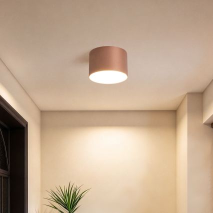 BRILAGI - Зовнішній стельовий світильник FORIS LED/9W/230V діам. 9 см бронзовий IP44