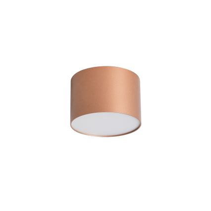 BRILAGI - Зовнішній стельовий світильник FORIS LED/9W/230V діам. 9 см бронзовий IP44