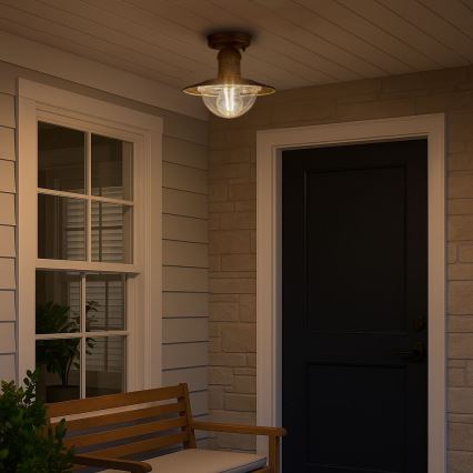 Brilagi - Зовнішній стельовий світильник MOLDE 1xE27/60W IP44 бронза/патина