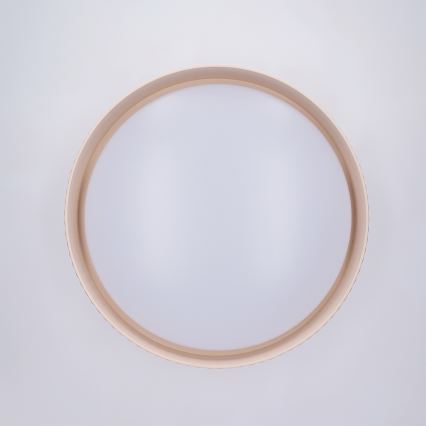 Brilagi - LED-потолочный светильник с функцией диммирования LUCIA LED/48 Вт/230 В 3000-6500 К, диаметр 41 см, бежевый + пульт дистанционного управления