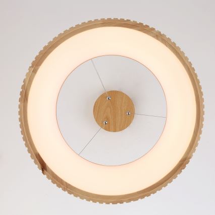 Brilagi - LED-подвесной светильник на тросе FALCON WOOD MODERN LED/30W/230V 3000/4000/6000K, диаметр 45 см, дерево