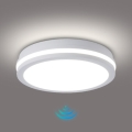 Brilagi — LED зовнішній стельовий світильник із сенсором BENE, LED/24 Вт/230 В, діаметр 26 см, білий, IP54