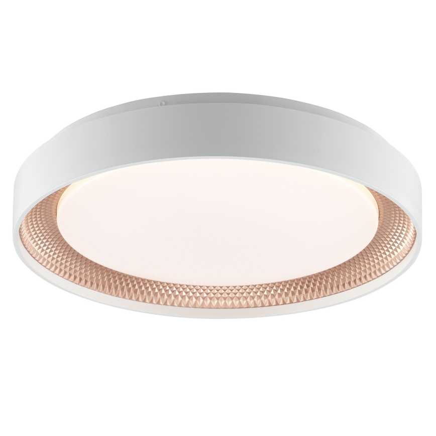 Brilliant - светодиодный диммируемый потолочный светильник WALDO LED/24W/230V 3000-6500K Ø 38,5 см белый/розовое золото + пульт дистанционного управления