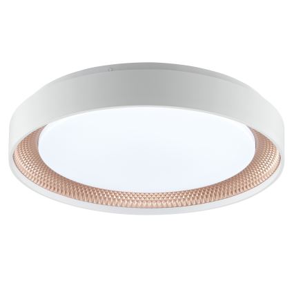 Brilliant - светодиодный диммируемый потолочный светильник WALDO LED/24W/230V 3000-6500K Ø 38,5 см белый/розовое золото + пульт дистанционного управления