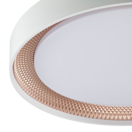 Brilliant - светодиодный диммируемый потолочный светильник WALDO LED/24W/230V 3000-6500K Ø 38,5 см белый/розовое золото + пульт дистанционного управления