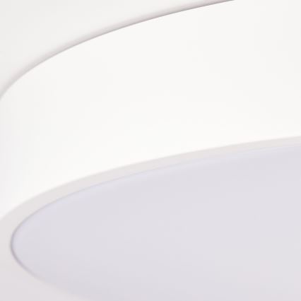 Brilliant - LED диммируемый потолочный светильник SLIMLINE LED/60W/230V 3000-6500K, диаметр 49 см, белый + пульт дистанционного управления