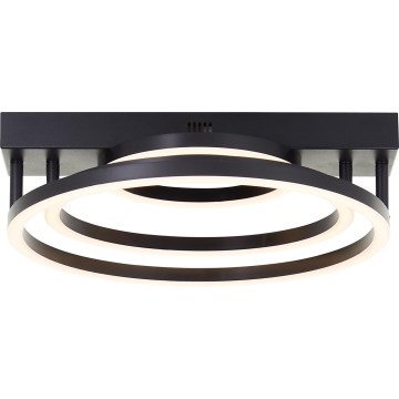 Brilliant - LED plafon cu dimmer PEDLEY LED/36W/230V negru