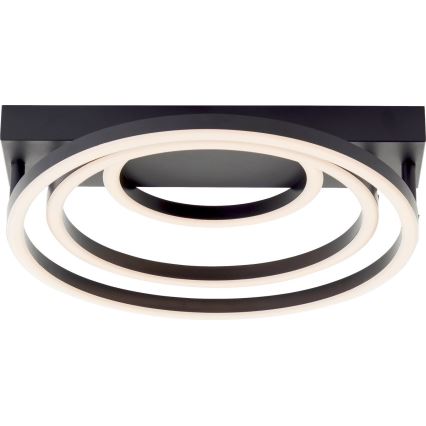 Brilliant - LED plafon cu dimmer PEDLEY LED/36W/230V negru