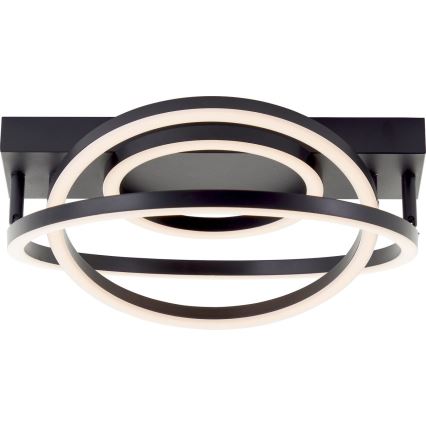 Brilliant - LED plafon cu dimmer PEDLEY LED/36W/230V negru