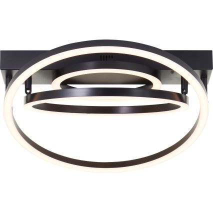 Brilliant - LED plafon cu dimmer PEDLEY LED/36W/230V negru