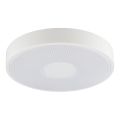 Brilliant - LED потолочный светильник RAKIN LED/18W/230V, диаметр 33,5 см, белый