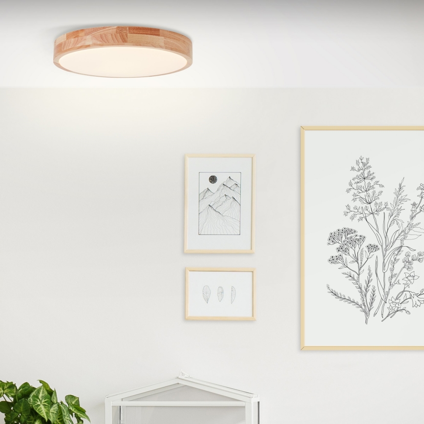 Brilliant - LED потолочный светильник SLIMLINE LED/22Вт/230В, диаметр 39 см, фикус