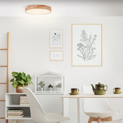 Brilliant - LED потолочный светильник SLIMLINE LED/22Вт/230В, диаметр 39 см, фикус