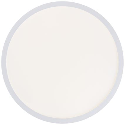 Brilliant - LED потолочный светильник MILTON LED/24W/230V Ø 42 см, белый