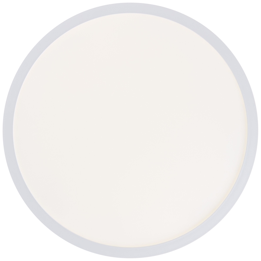 Brilliant - LED потолочный светильник MILTON LED/24W/230V Ø 42 см, белый