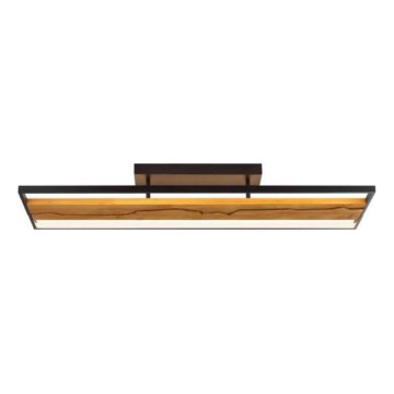 Brilliant - LED регульований стельовий світильник THUNDER LED/42W/230V сосна