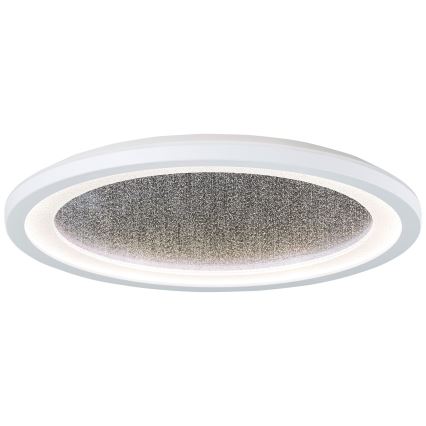 Brilliant - Стельовий RGBW-світильник з регулюванням яскравості TANIDA LED/22W/230V 3000-6500K+ пульт дистанційного керування