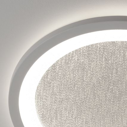 Brilliant - Стельовий RGBW-світильник з регулюванням яскравості TANIDA LED/22W/230V 3000-6500K+ пульт дистанційного керування