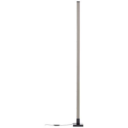 Brilliant - LED RGBW Торшер з регулюванням яскравості NEELE LED/6,5W/230V чорний + пульт дистанційного керування