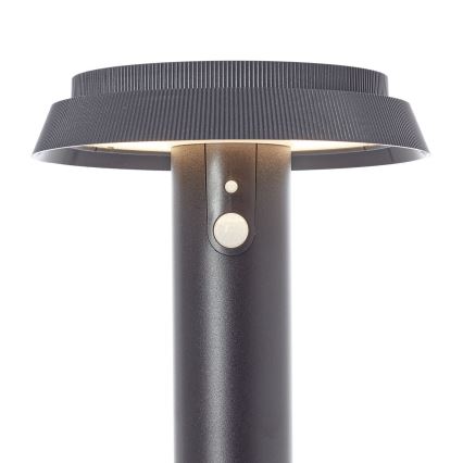 Brilliant - LED сонячна лампа з датчиком ALVERO LED/4W/3,7V 2000 mAh 50 см IP44 чорна