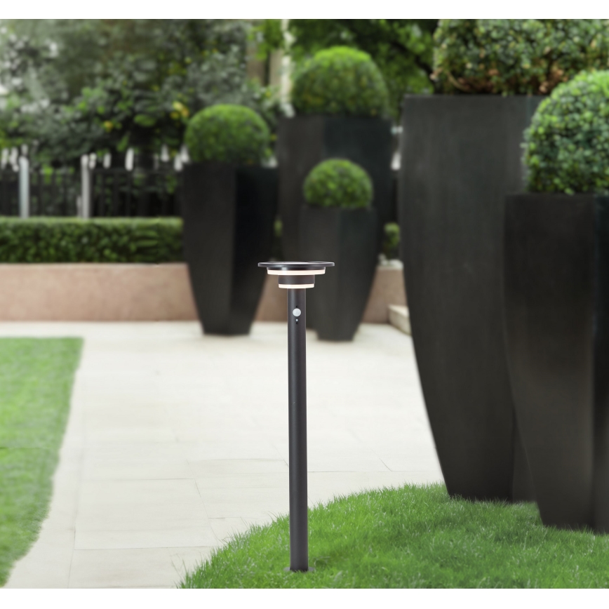 Brilliant - LED сонячна лампа з датчиком GARVINA LED/3W/3,7V 2000 mAh 85 см IP44 чорна